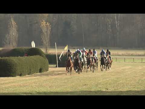 2. dostih - Cena obce Kladruby nad Labem - dostihy Kolesa 7. 11. 2021