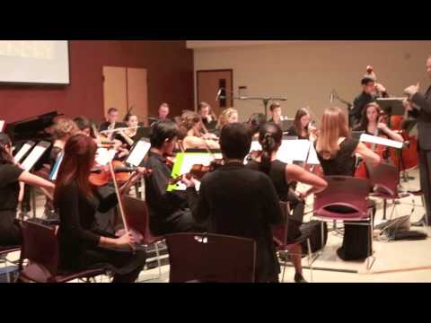 Beauty and the Beast (Live) - St. Martin Orchestra