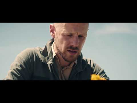 Matthew Chaim - Sunflowers (Official Film)