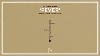 Fever Music Video
