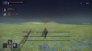 今週も垂れ流しはいしん→[ELDEN RING NIGHTREIGN][PS5][参加可]
