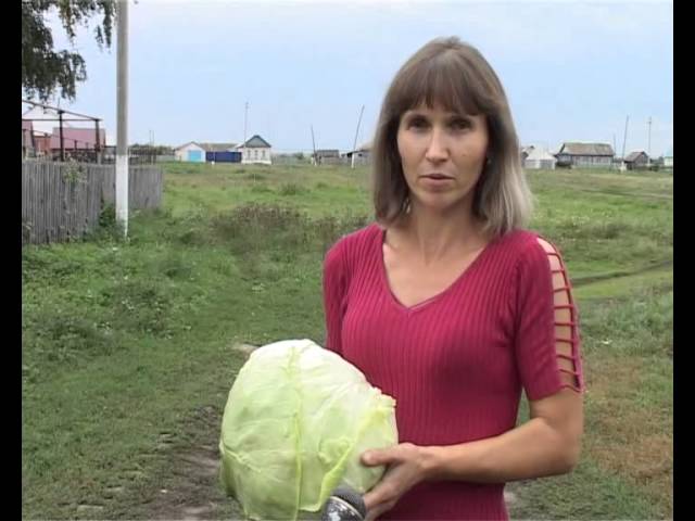 Вперед, на ярмарку!
