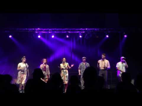 Elephant claps at AAVF 2017