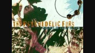 THE PSYCHEDELIC FURS there's a world outside.wmv