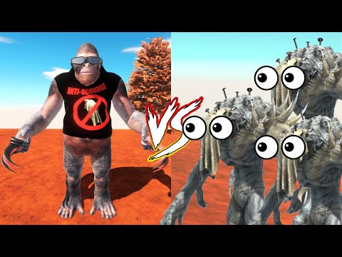 GORO ANTI-SCOURGE + ANTI SCOURGE PRIMATES AGAINTS SCOURGE BROTHERS! -ARBS PC BATTLE