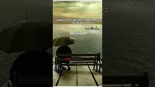 Download lagu uang kotor yang mahal|storywa motivasi anwarzahid..#short#kh.anwarzahid#storywa30detik mp3 Download lagu uang kotor yang mahal|storywa motivasi anwarzahid..#short#kh.anwarzahid#storywa30detik mp3