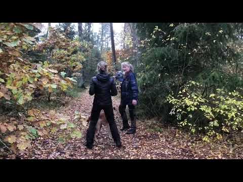 Krokasmedens Yaki-Da MH 2019