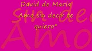 David de María - amo sin decir te quiero