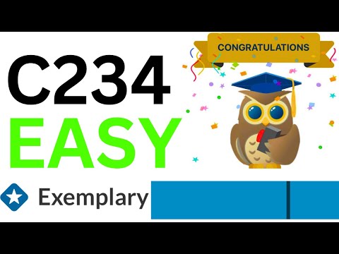 C234 Task 2