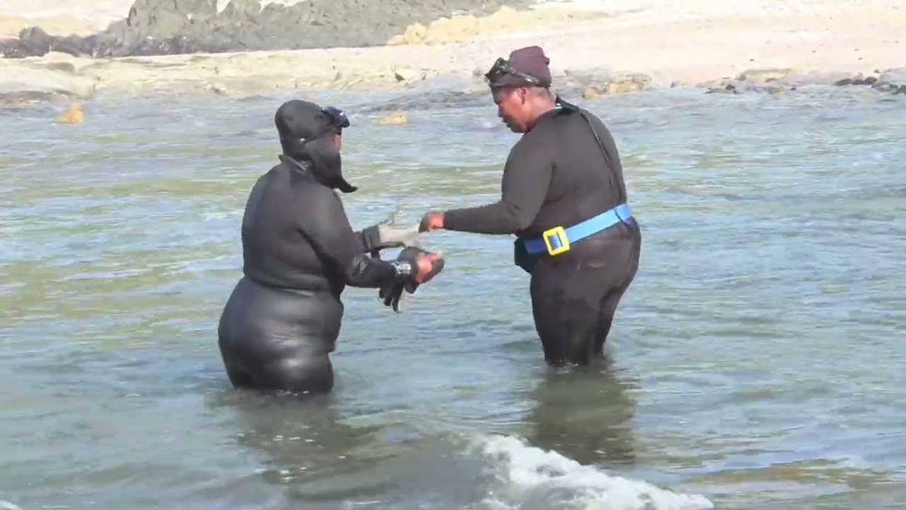 LISTEN-Dr Amanda Chulayo speaking about the development of aquaculture and fisheries in the province