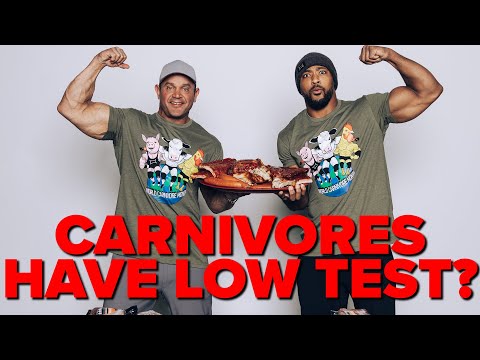 Carnivores Have Lower Testosterone Levels? Ft. Robb Wolf