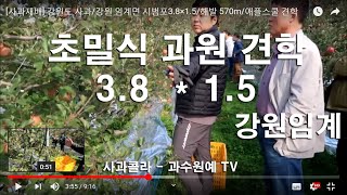 강원 임계 사과 해발 570m 농협지도사/애플스쿨,