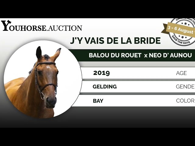 J'y Vais de la Bride showvideo