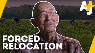 What Happened to Japanese-American Farmers? |AJ+
