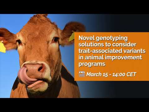 Novel genotyping solutions to consider trait-associated variants in animal improvement programs