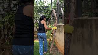 Ep.3 | Backyard Makeover | House Reset | #minivlog #asmr Budget Makeover