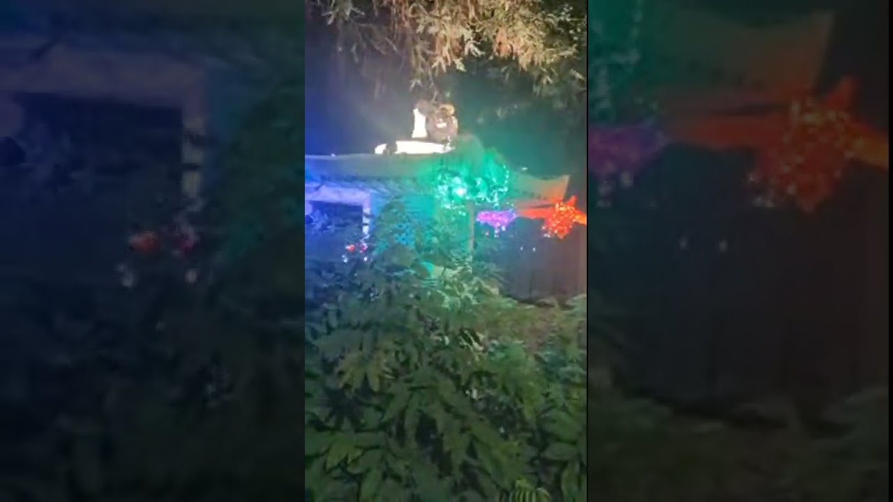 Projection Mapping at Lake Merritt