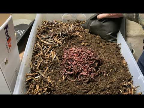 Adding ENC to brand new bin