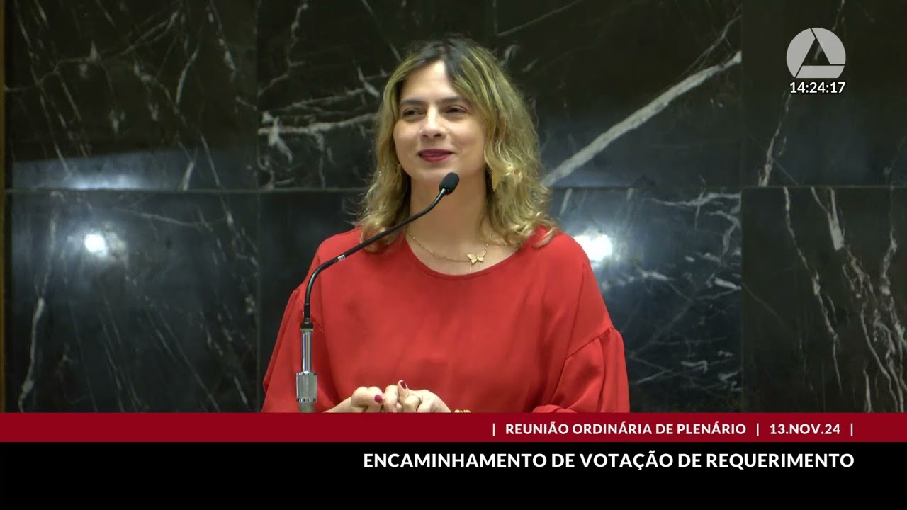 13/11/2024 14:00 - 48ª Reunião Ordinária