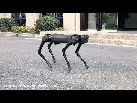 Aliengo Review Video 1