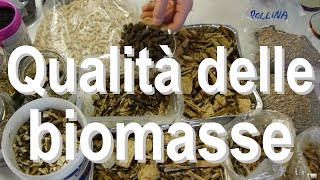preview picture of video 'Caratterizzazione delle biomasse in laboratorio - CNR IVALSA San Michele all'Adige (TN)'
