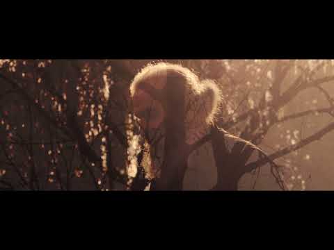 Sarplaninec and Karaman: Macedonian shepherd dog breeds