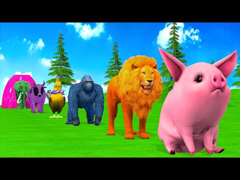 Long Slide Game With Elephant Gorilla Buffalo Hippopotamus Tiger - 3d Animal Game - Funny 3d Animals