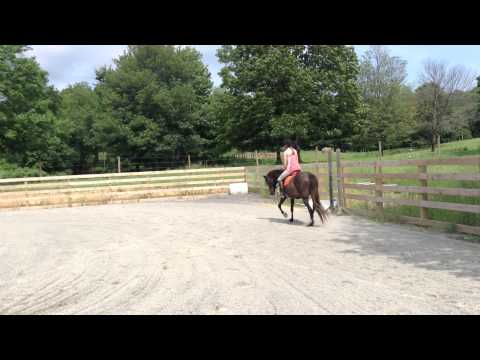 Waterford's Zoom-Zoom 6/12/2013