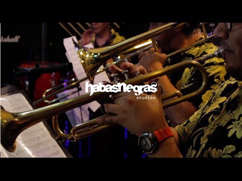 Toro Mata - Celia Cruz | Zambra Orquesta | LIVE | HABASNEGRAS