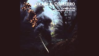 Okain & Cuartero - Cameleon - Hot Since 82 Remix