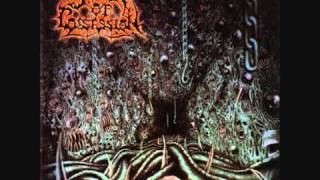 Spawn Of Possession - The Forbidden
