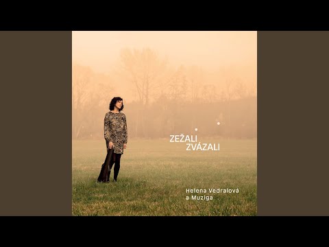 V širém poli hruška