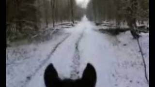 Caresa &amp; ich. Winter wonderland.