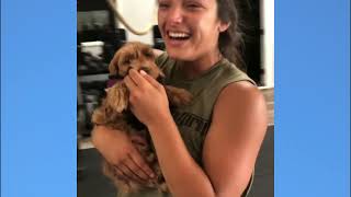 Puppy Surprise Compilation REACTION 😍 Dog Surprise Compilation | Try Not to Cry - Miyu Animals #08