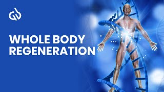 Whole Body Regeneration - Miracle Rife Frequency Binaural Beats Isochronic Tones 