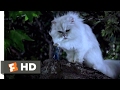 Stuart Little 1999 You Saved Me Scene 9 10 Movieclips