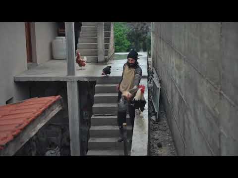 DZEMO (2020) | Official Trailer