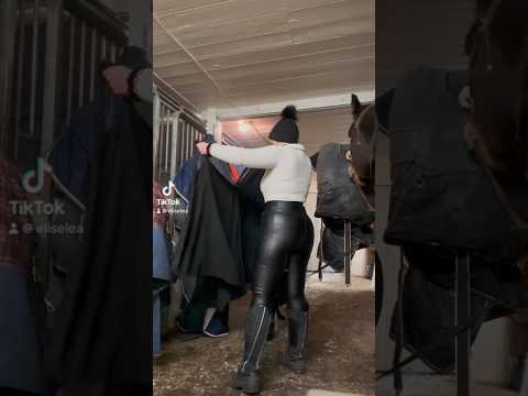 Ridingskirt season👗🤩 #horse #dog #norway #winter #ridingskirt #diy