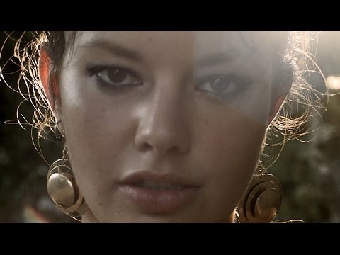 The Tibbs - The Story Goes