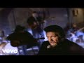 Waylon Jennings - Wild Ones