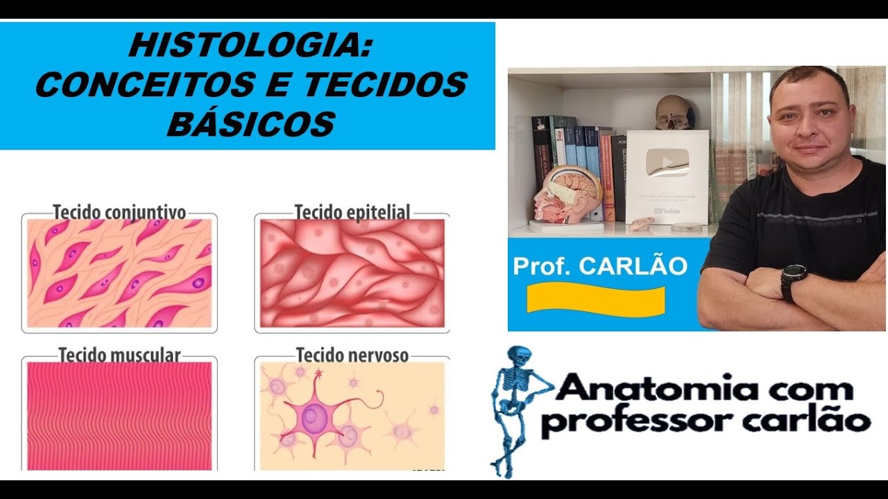HISTOLOGIA - CONCEITOS E TECIDOS BÁSICOS