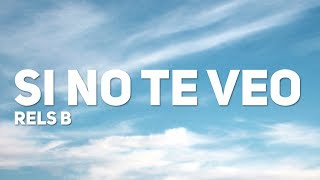 Rels B - SI NO TE VEO (Letra / Lyrics)