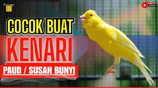 Download lagu KENARI JUARA LANGSUNG RESPON DENGAR SUARA KENARI GACOR PANJANG #kenarijuara #canary #kicaumania mp3