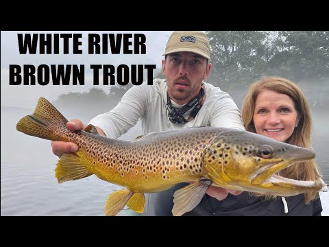 Big Brown Trout Fishing on the White River