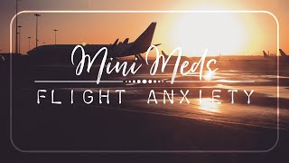 Mini Meditation | FLIGHT ANXIETY | 5 Minute Guided Meditation to Ease your Flight Nerves ✈️