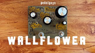 Video thumbnail for Hungry Robot Pedals Wallflower: Instant Shoegaze Machine by Pedalgaze