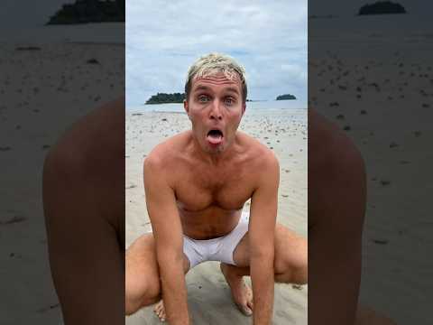 Crazy Dog 🐶 on the beach street #crazykozak #dogshorts #dogvideos #doglover #dogtraining