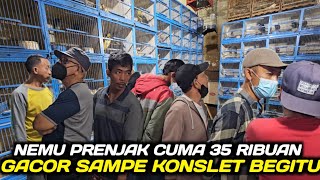Download lagu PASAR BURUNG PRENJAK GACOR ! KIOS BAKUL PRENJAK GACIR CUMA 35 RIBU RASA CILILIN HARGA JUTAAN mp3