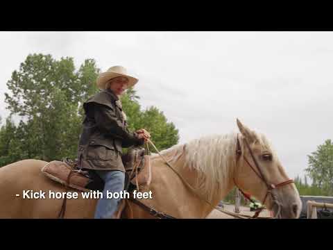 Horseback Riding Policies and Instructions