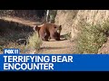Woman Faces Off With Bear On Southern California Hiking Trail
